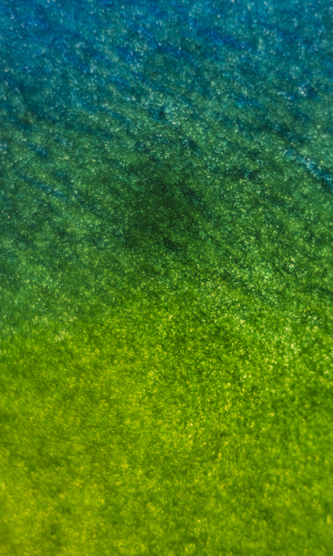 Dye Lockscreen Wallpapers for Windows Phone 7